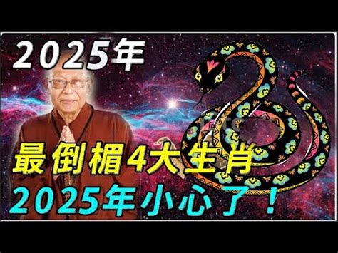 2025生肖年